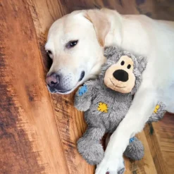 Kong Wild Knots Bear Toys For Dogs, assorted colors