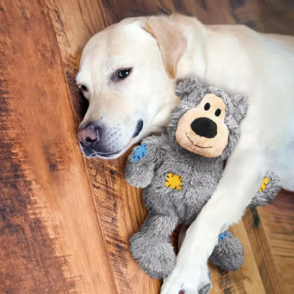 Kong Wild Knots Bear Toys For Dogs, assorted colors