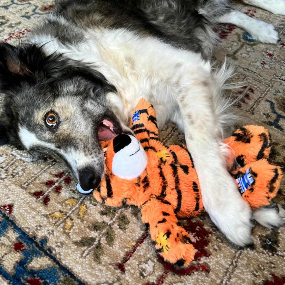 Kong Wild Knots Tiger Toy For Dogs