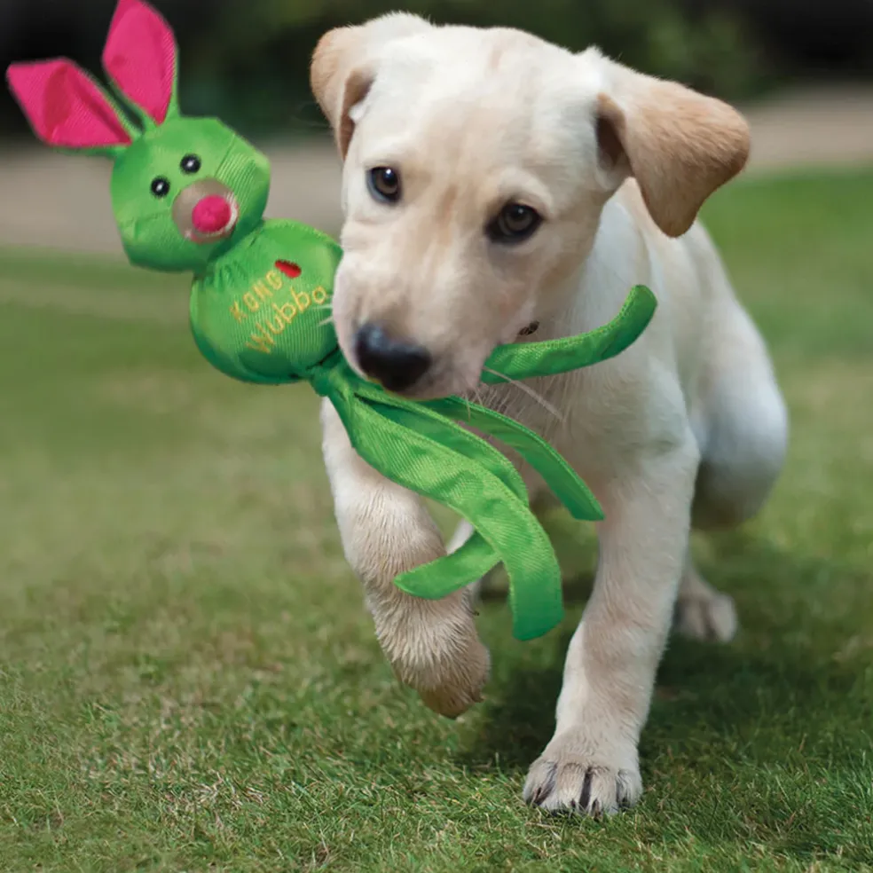 Kong Wubba Ballastic Friends Toy For Dogs, Assorted Characters