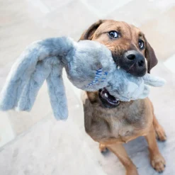 Kong Wubba Friend Interactive Toy For Dog - (assorted)