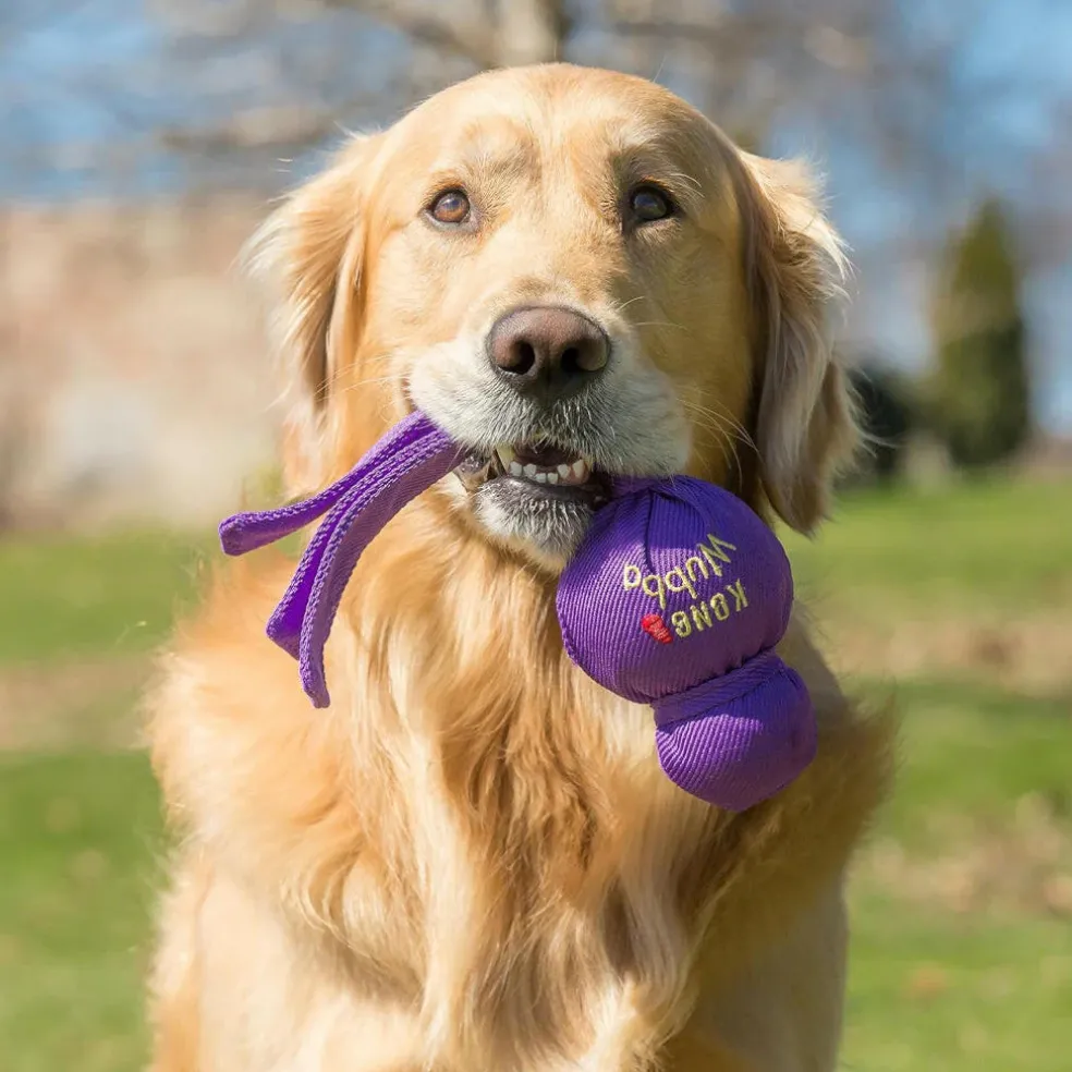 Kong Wubba Toy For Dogs, Assorted Colors