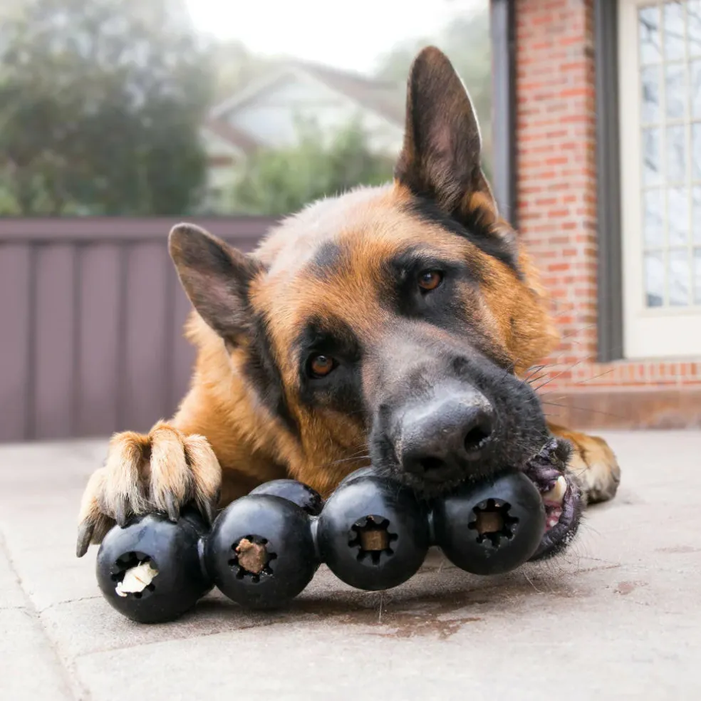 Kong Xtreme Goodie Ribbon Chew Toy For Dogs (Large)