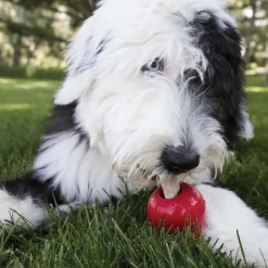 KONG Ziggies Enhanced Plant-Based Treats For Dogs