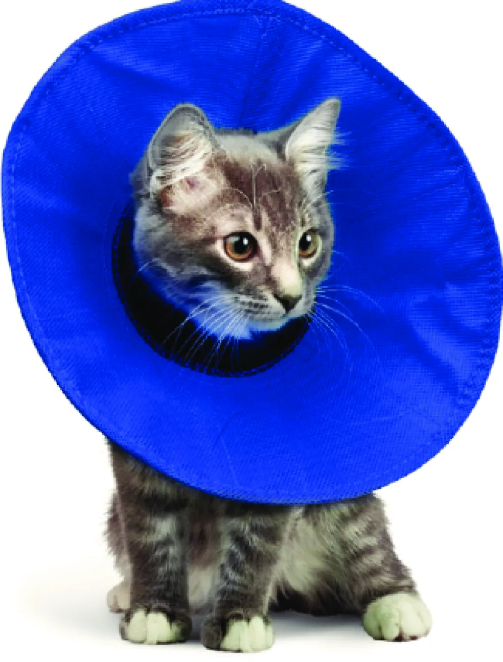 KVP Ez Soft Collar for Cats and Small Dogs, 5.5-12.25" Neck