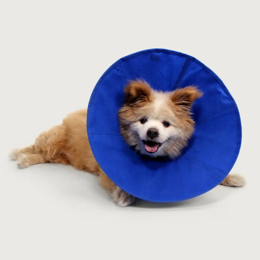KVP Ez Soft Collar for Cats and Small Dogs, 5.5-12.25" Neck