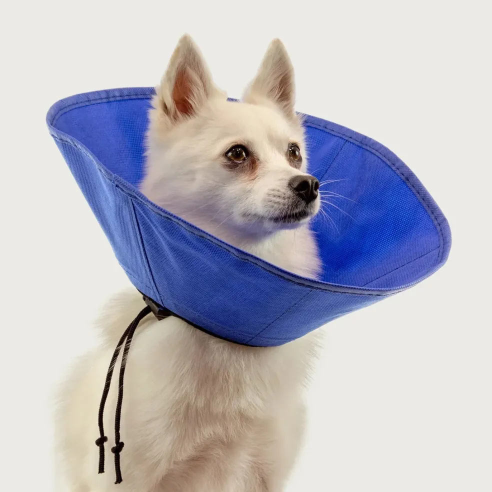 KVP Ez Soft Collar for Cats and Small Dogs, 5.5-12.25" Neck