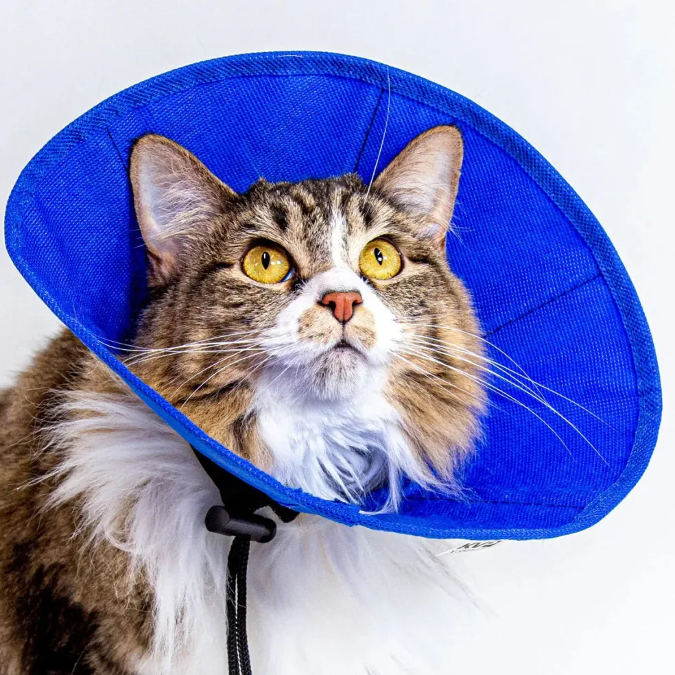 KVP Ez Soft Collar for Cats and Small Dogs, 5.5-12.25" Neck