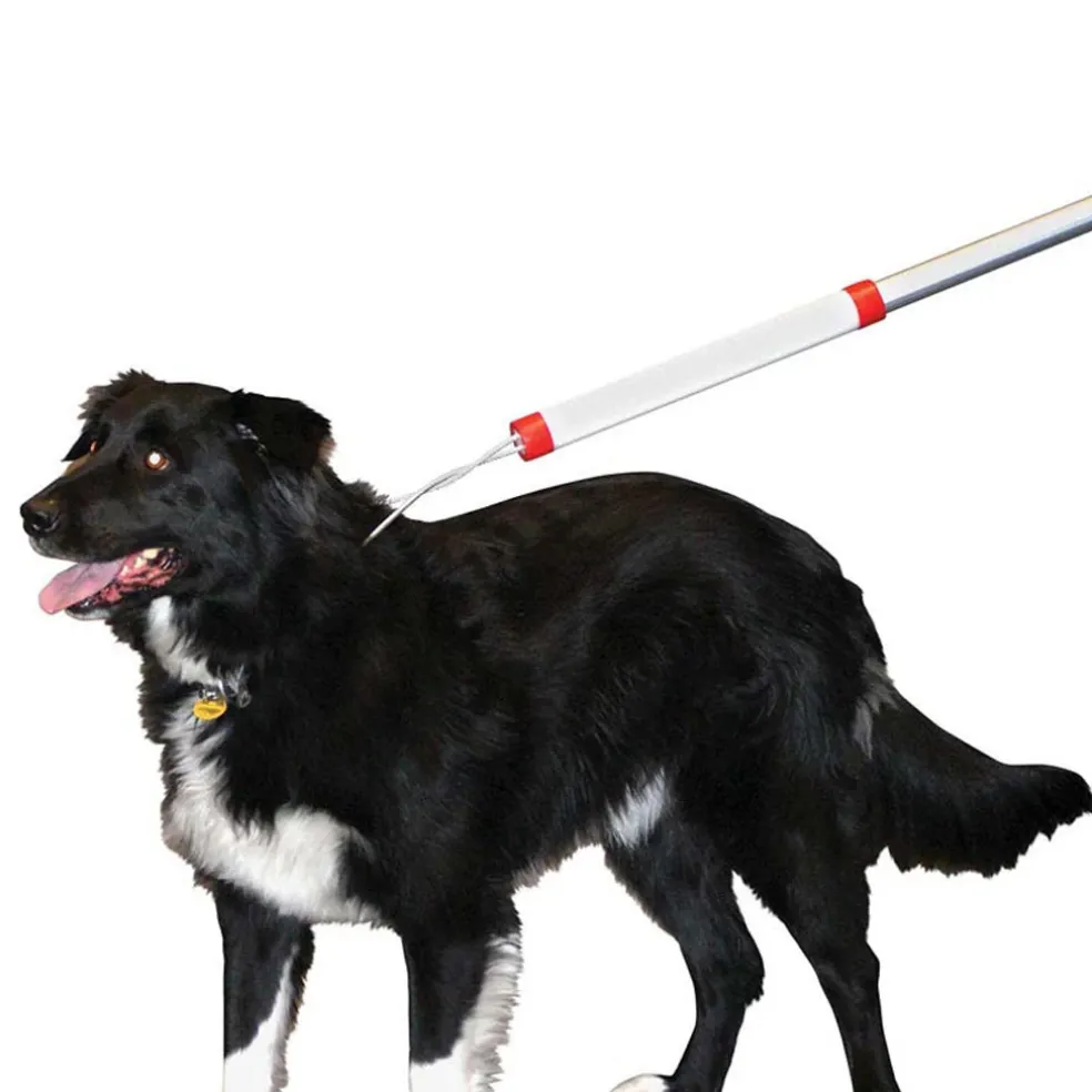 KVP Snarem Pole 4"