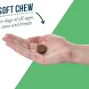 Lactoquil Digestive Health for Dogs (75 soft chews)