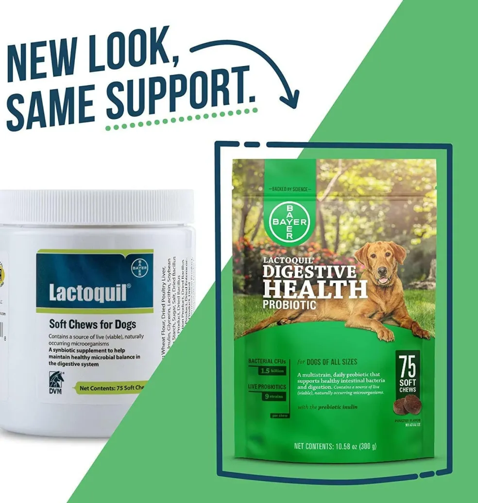 Lactoquil Digestive Health for Dogs (75 soft chews)