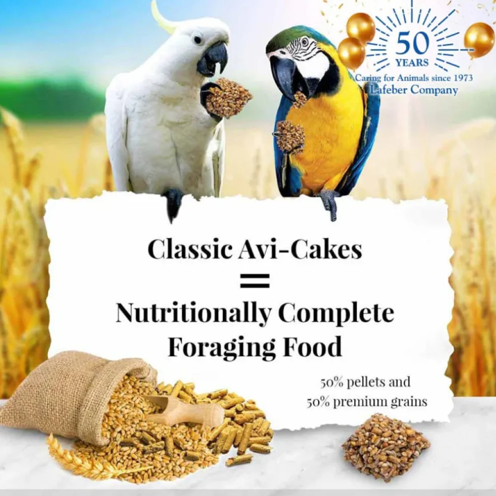 Lafeber Classic Avi-Cakes Macaw & Cockatoo Treats (1 lb)