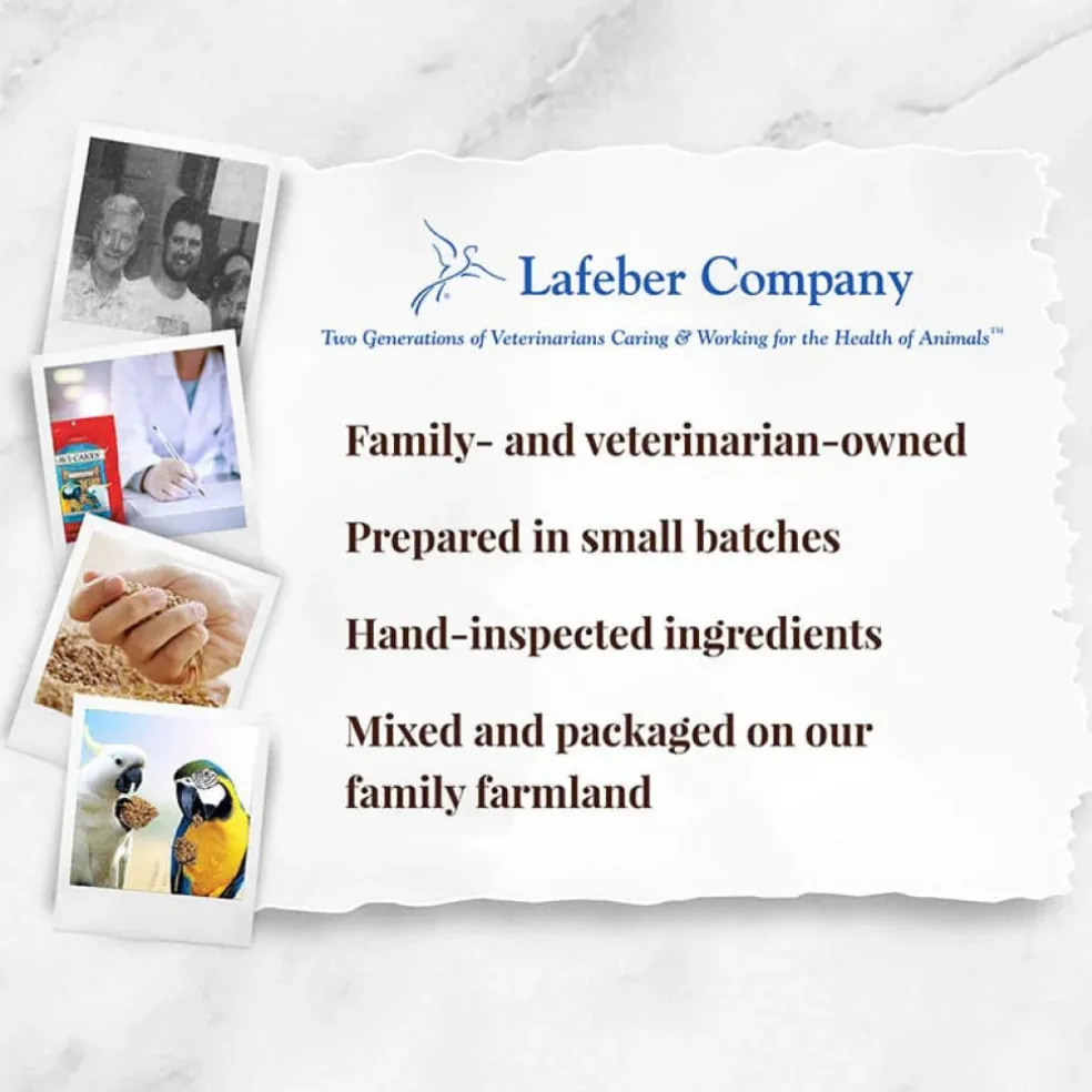 Lafeber Classic Avi-Cakes Macaw & Cockatoo Treats (1 lb)