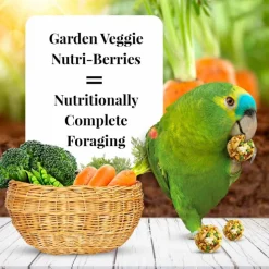 Lafeber Garden Veggie Nutri-Berries Parrot Food (10 oz)