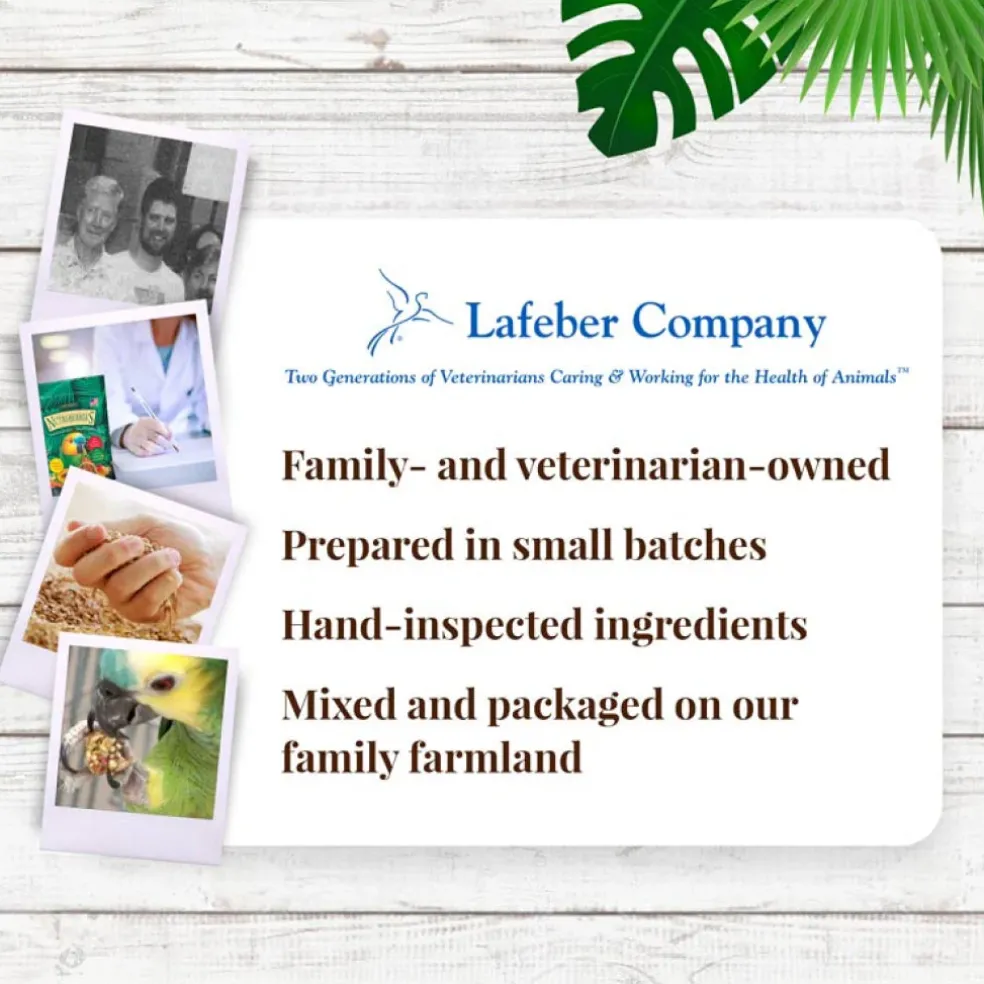 Lafeber Tropical Fruit Nutri-Berries Parrot Food
