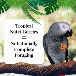 Lafeber Tropical Fruit Nutri-Berries Parrot Food