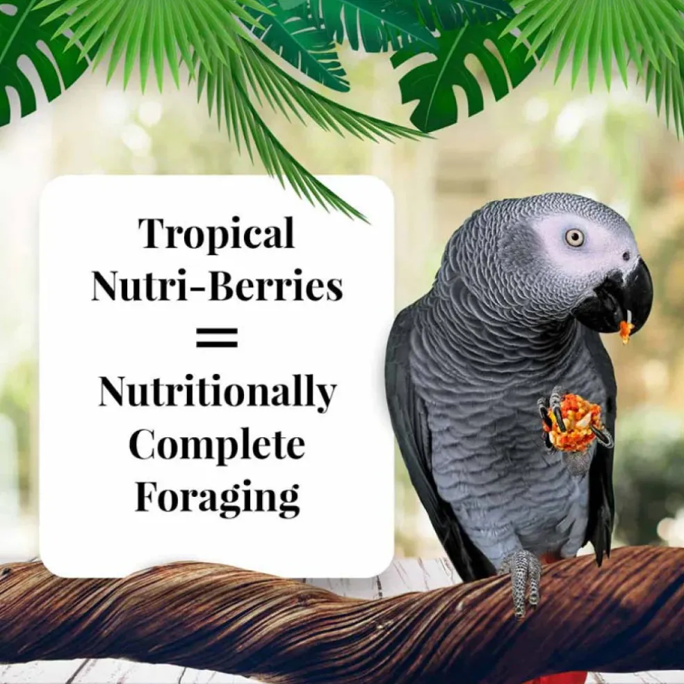 Lafeber Tropical Fruit Nutri-Berries Parrot Food