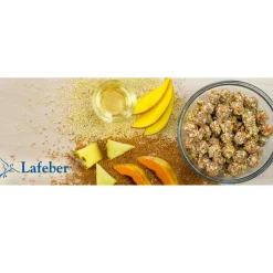Lafeber Tropical Fruit Nutri-Berries Parrot Food
