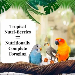Lafeber Tropical Fruit Nutri-Berries Bird Food (10 oz)