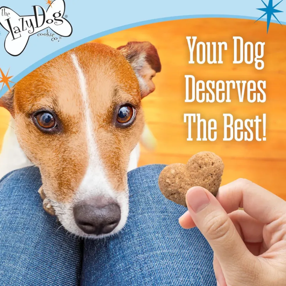 Lazy Dog Grain Free Toasted Vanilla Peanut Butter Treat For Dogs (14 oz)