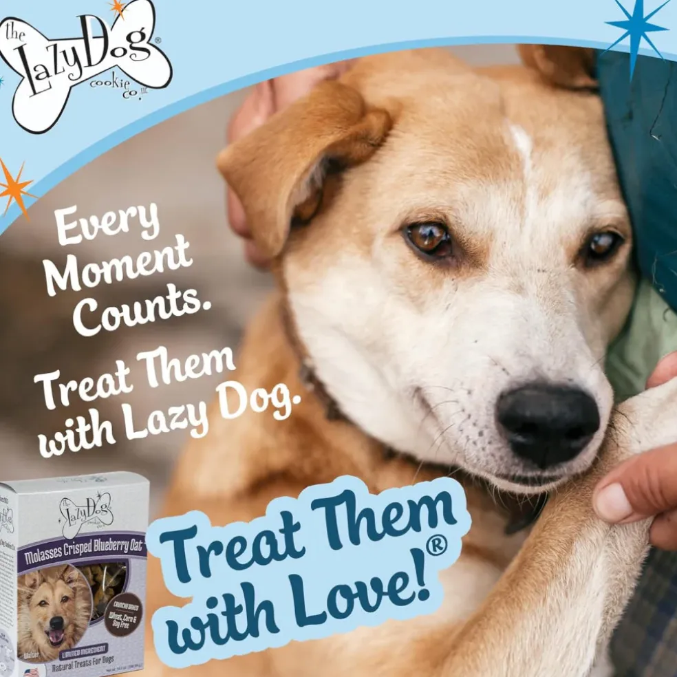 Lazy Dog Molasses Crisped Blueberry Oat Treat For Dogs (14 oz)