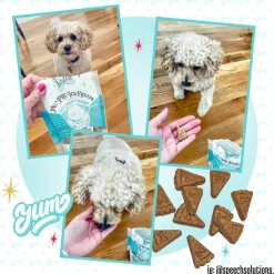 Lazy Dog Pup-PIE & Ice Cream Banana Nut Slice with Honey & Bacon Treats for Dog (5 oz)