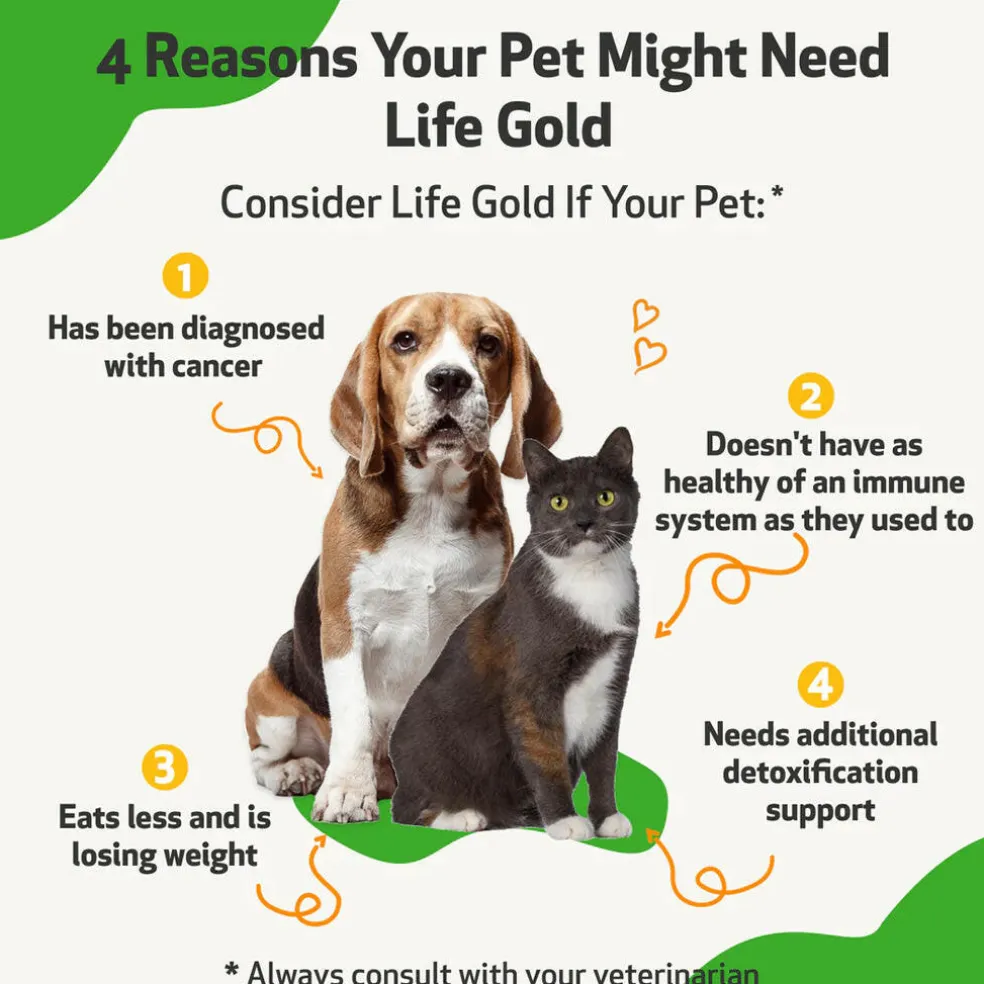 Life Gold - Trusted Care for Dog Cancer (4 oz)