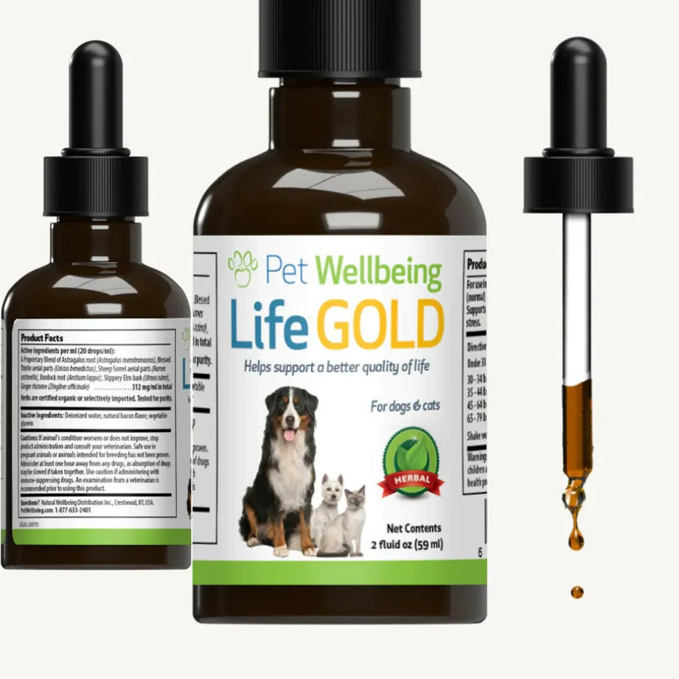 Life Gold - Trusted Care for Dog Cancer (2 oz)