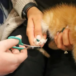 Li'l Pals Nail Trimmer For Kittens