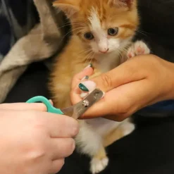 Li'l Pals Nail Trimmer For Kittens