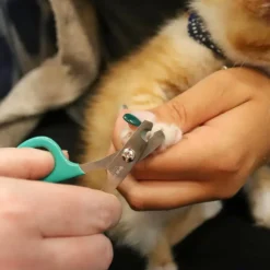 Li'l Pals Nail Trimmer For Kittens