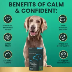 Long Lasting Calm & Confident Chews for Dogs