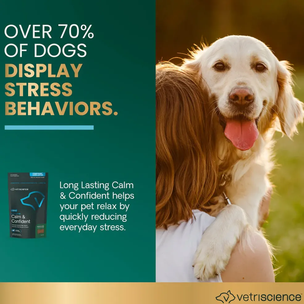Long Lasting Calm & Confident Chews for Dogs