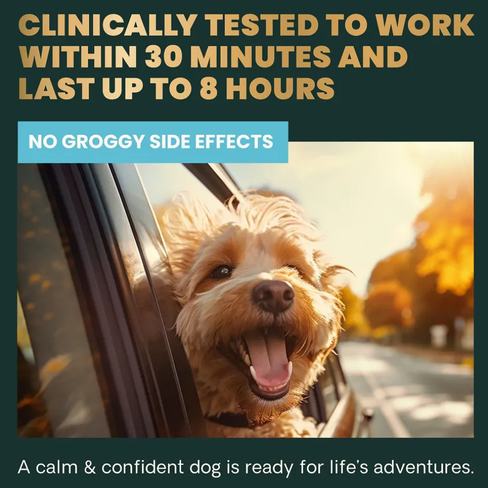 Long Lasting Calm & Confident Chews for Dogs