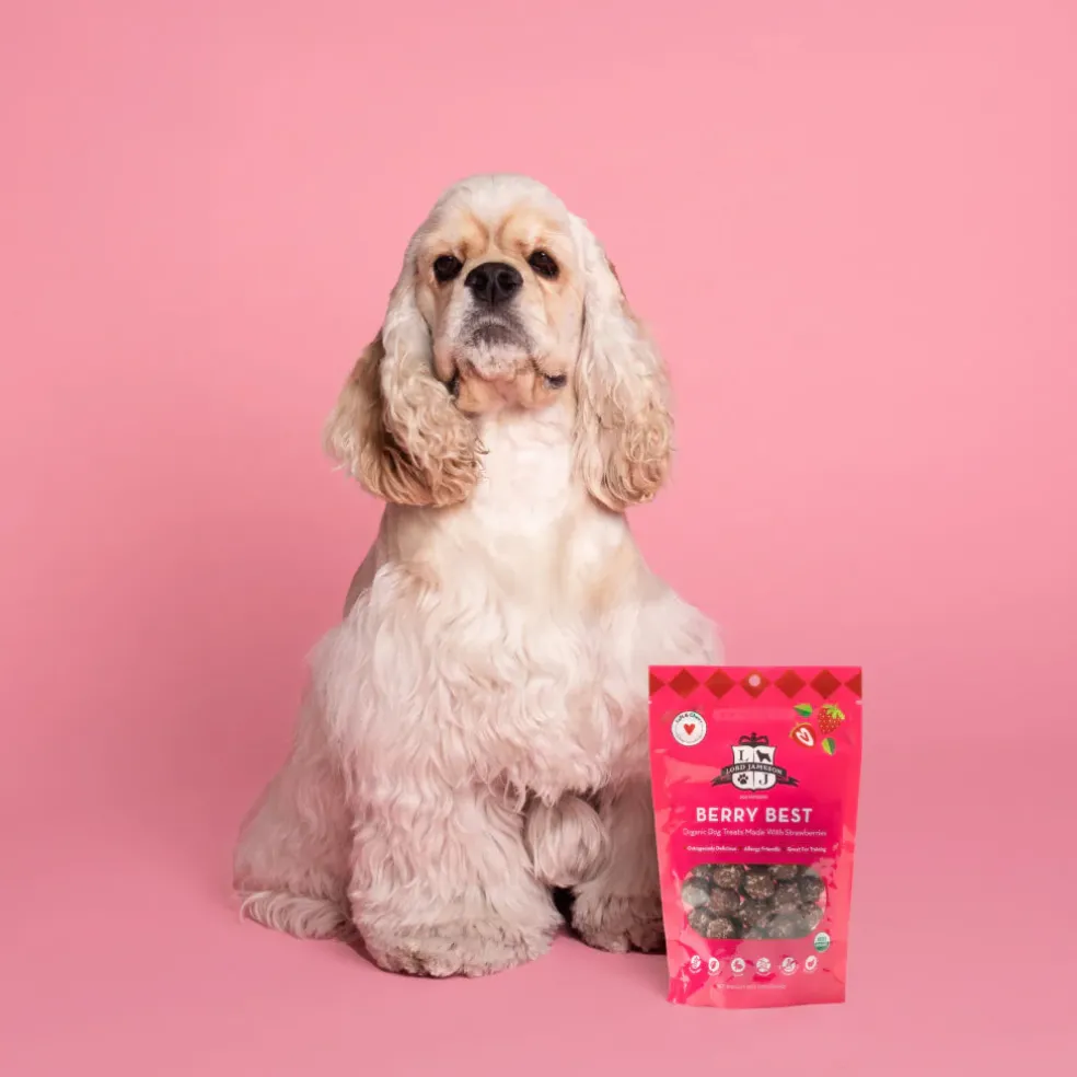 Lord Jameson Berry Best Organic Strawberry Soft & Chewy Treats For Dogs (6 oz)