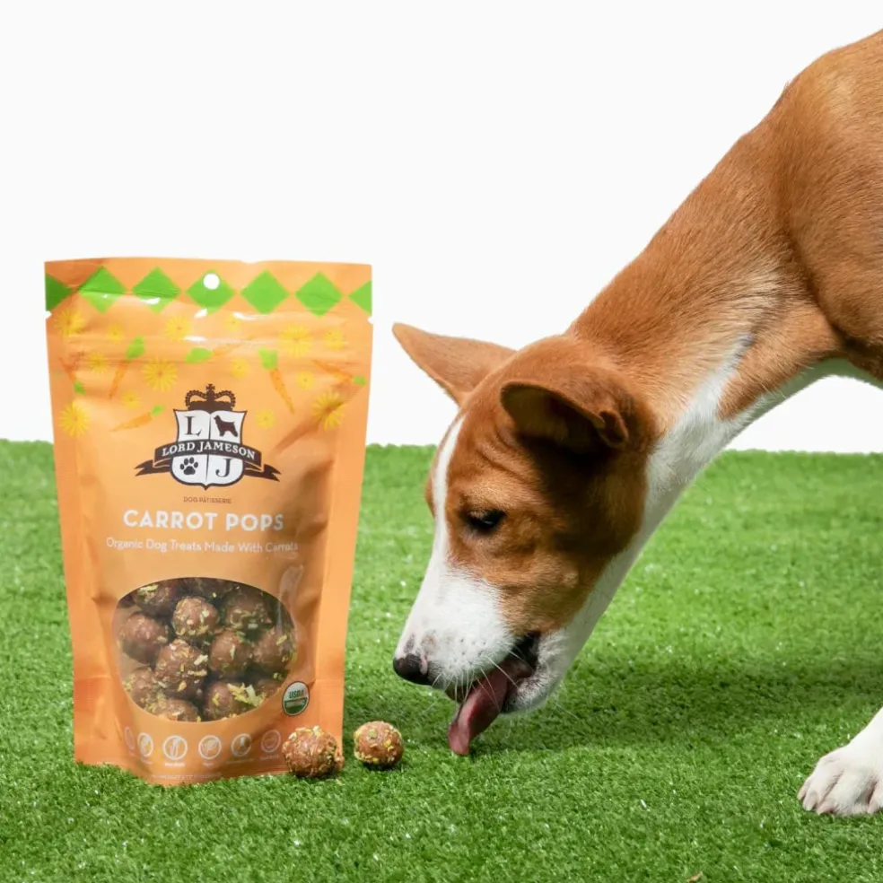Lord Jameson Carrot Pops Organic Carrot Soft & Chewy Treats For Dogs (6 oz)