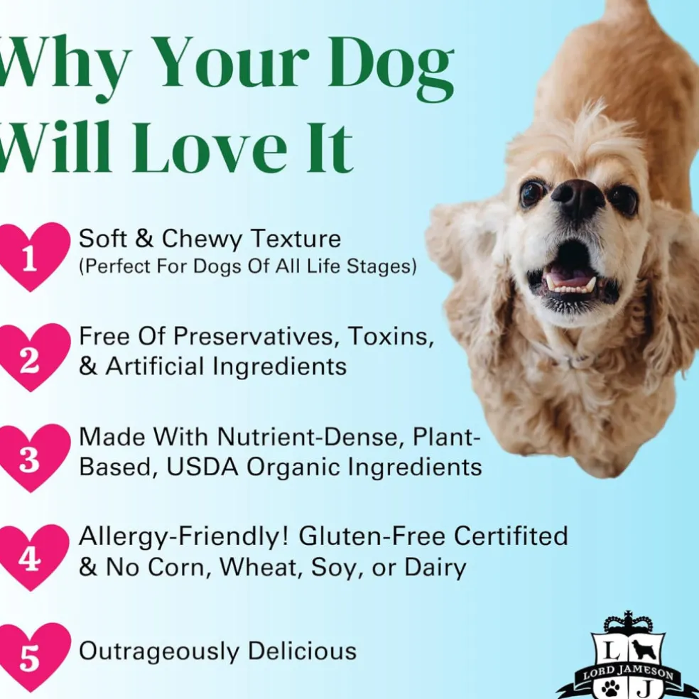 Lord Jameson Daily Greens Organic Spinach & Chia Seeds Soft & Chewy Treats For Dogs (6 oz)
