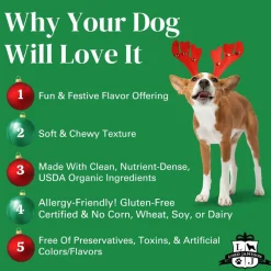 Lord Jameson Gingerbread Organic Soft & Chewy Dog Treats (6 Oz)