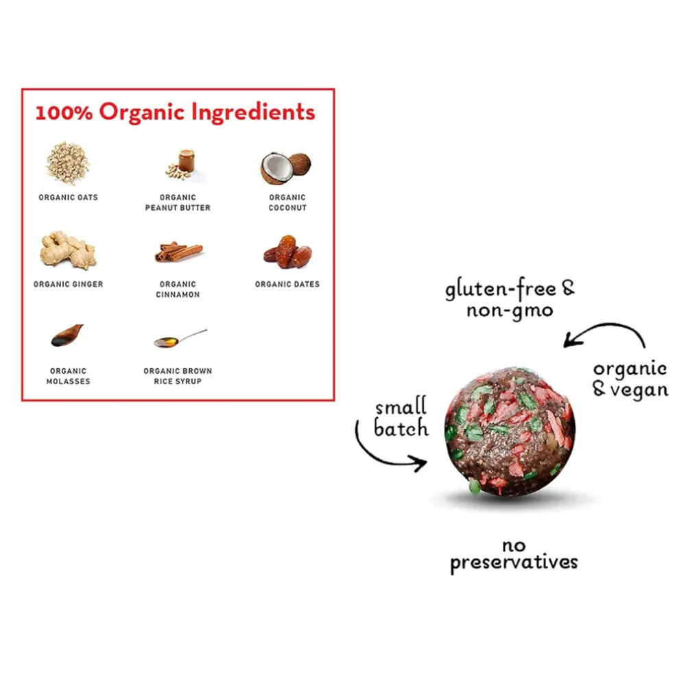 Lord Jameson Gingerbread Organic Soft & Chewy Dog Treats (6 Oz)
