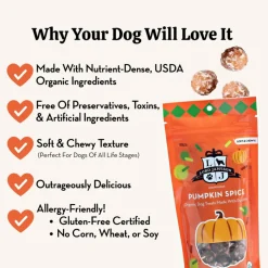 Lord Jameson Pumpkin Spice Organic Soft & Chewy Dog Treats, 6-oz