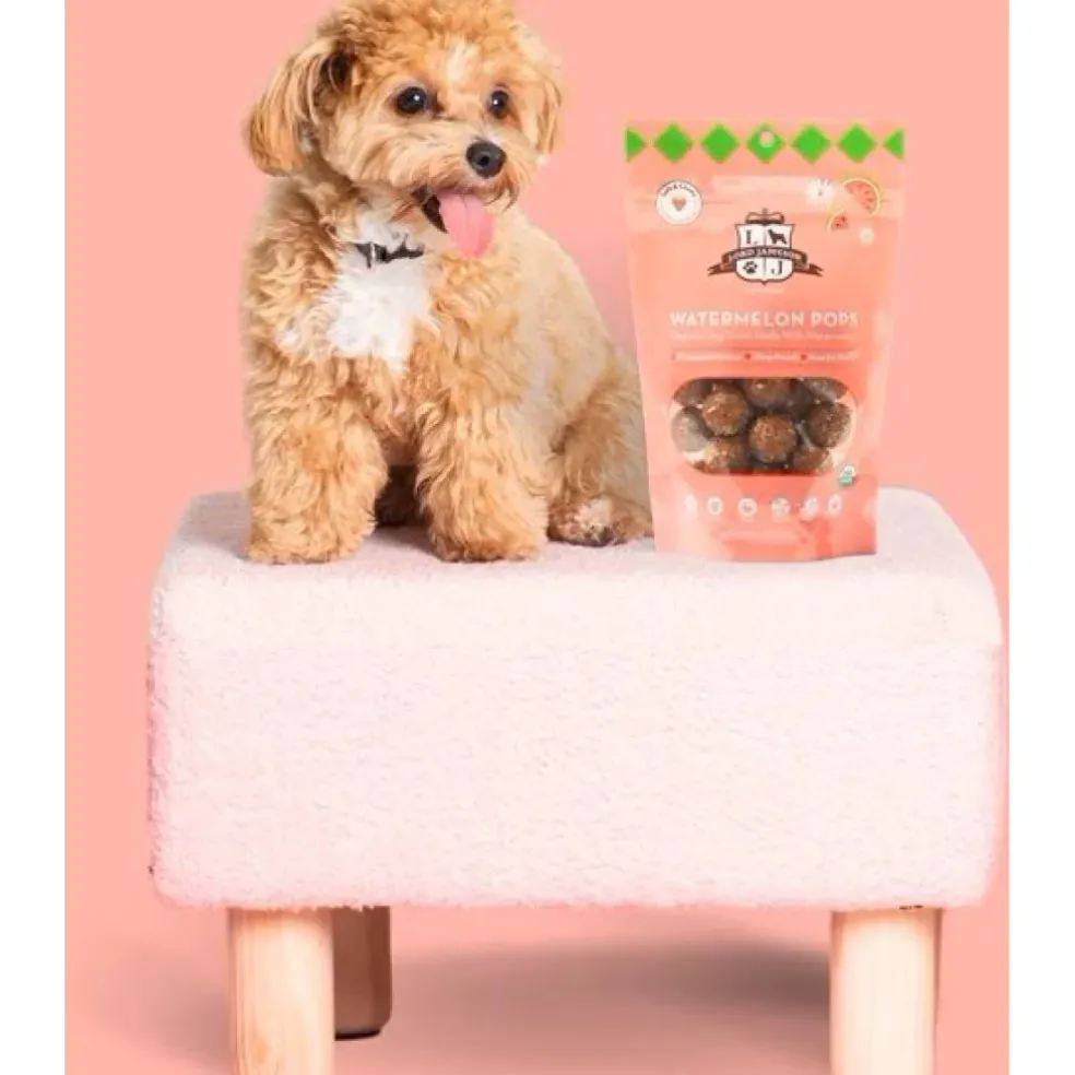 Lord Jameson Watermelon Pops Organic Watermelon Soft & Chewy Treats For Dogs (6 oz)