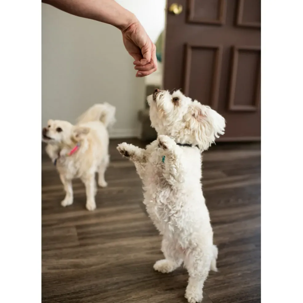Loving Pets Houndations Duck Flavor Dog Training Treats (4oz)