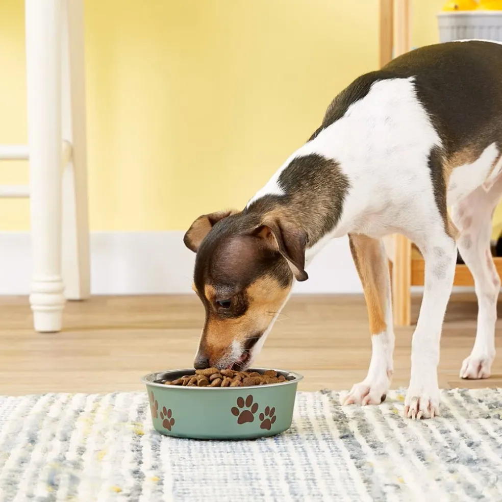 Loving Pets Metallic Artichoke Non-Skid Stainless Steel Pet Bowl
