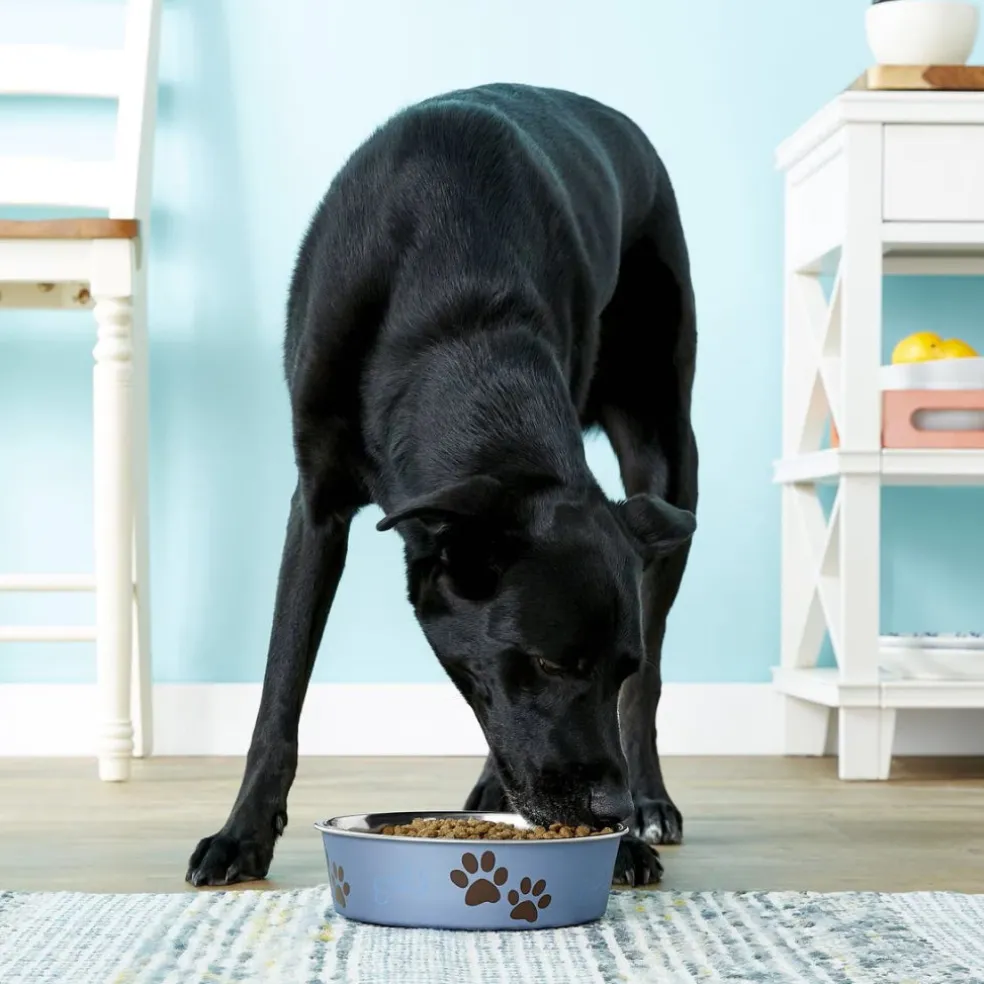 Loving Pets Metallic Blueberry Non-Skid Stainless Steel Pet Bowl