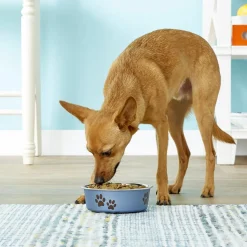 Loving Pets Metallic Blueberry Non-Skid Stainless Steel Pet Bowl