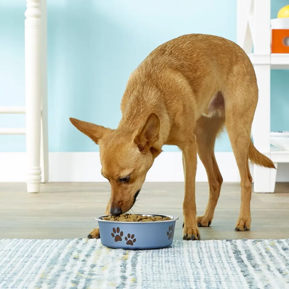 Loving Pets Metallic Blueberry Non-Skid Stainless Steel Pet Bowl