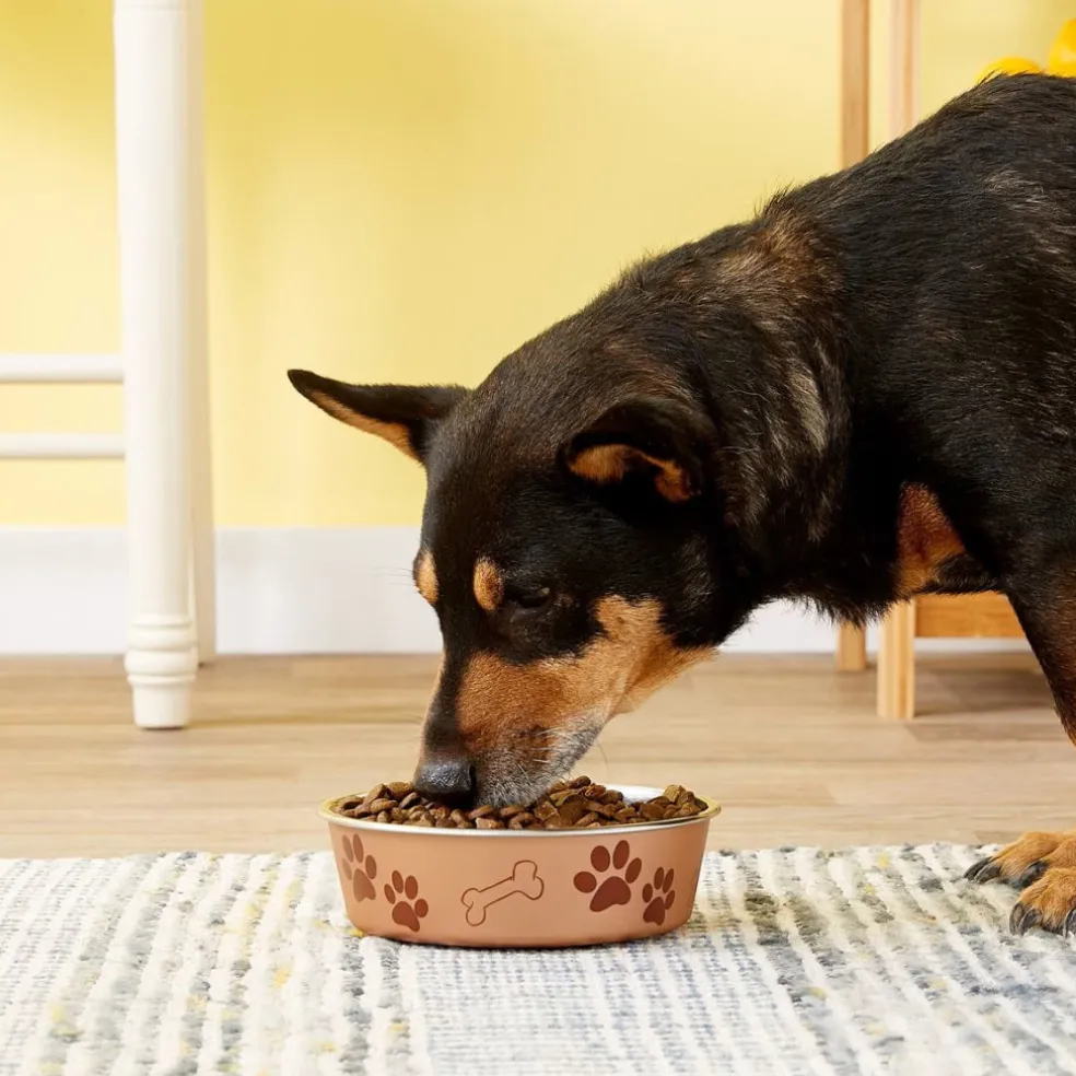 Loving Pets Metallic Champagne Non-Skid Stainless Steel Pet Bowl