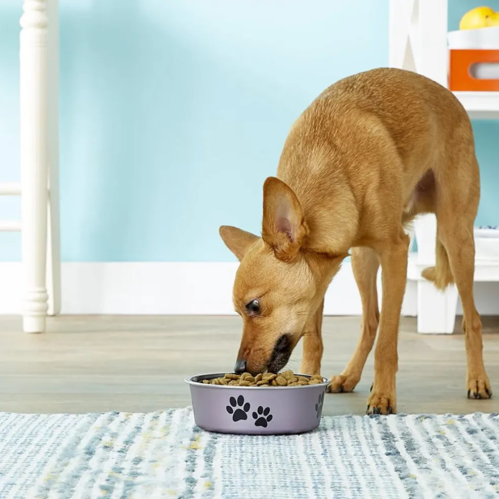 Loving Pets Metallic Grape Non-Skid Stainless Steel Pet Bowl