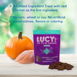 Lucy Pet Products Hip to Be Square Chicken & Pumpkin Formula Dog Treats, 6-oz