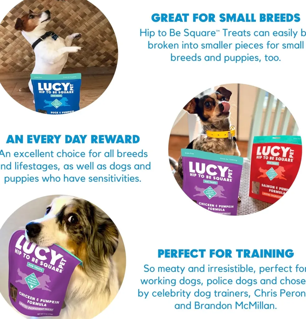 Lucy Pet Products Hip to Be Square Chicken & Pumpkin Formula Dog Treats, 6-oz